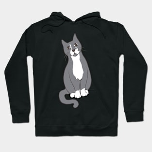 Grey Tuxedo Cat Sitting Pretty Hoodie